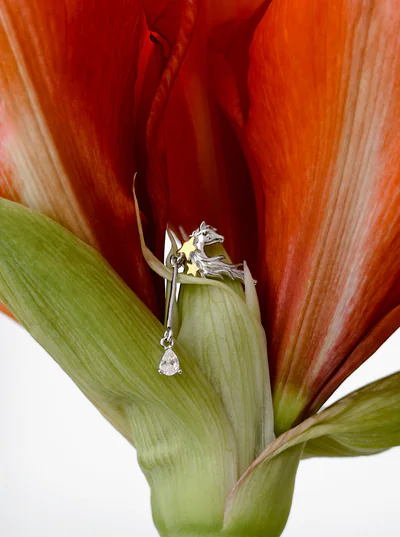 Кафа "Horse" – обкладинка - купуйте на Chuttyevo!