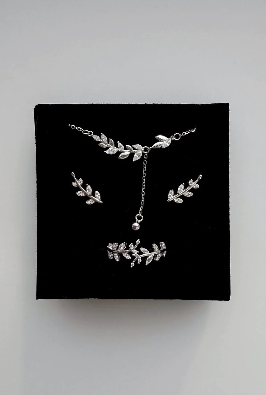 Набір з сяючою гілочкою – обкладинка - купуйте на Chuttyevo!