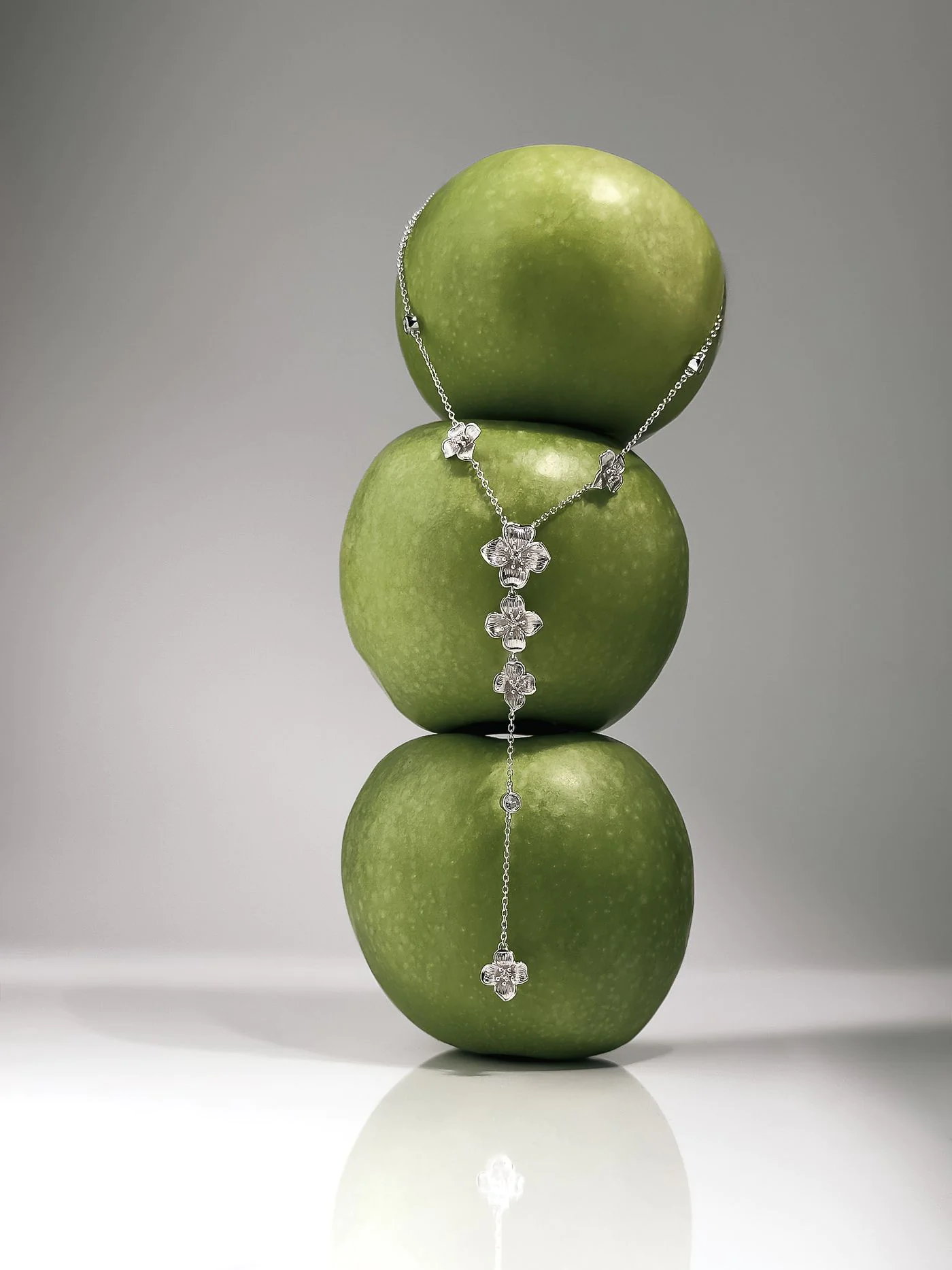 Ланцюжок "Срібна Квітка" – обкладинка - купуйте на Chuttyevo!