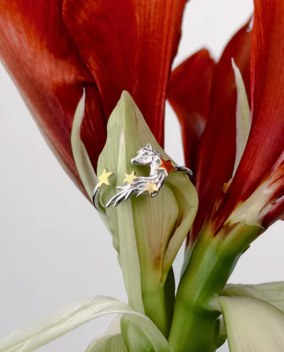 Каблучка розімкнута "Horse" – обкладинка - купуйте на Chuttyevo!