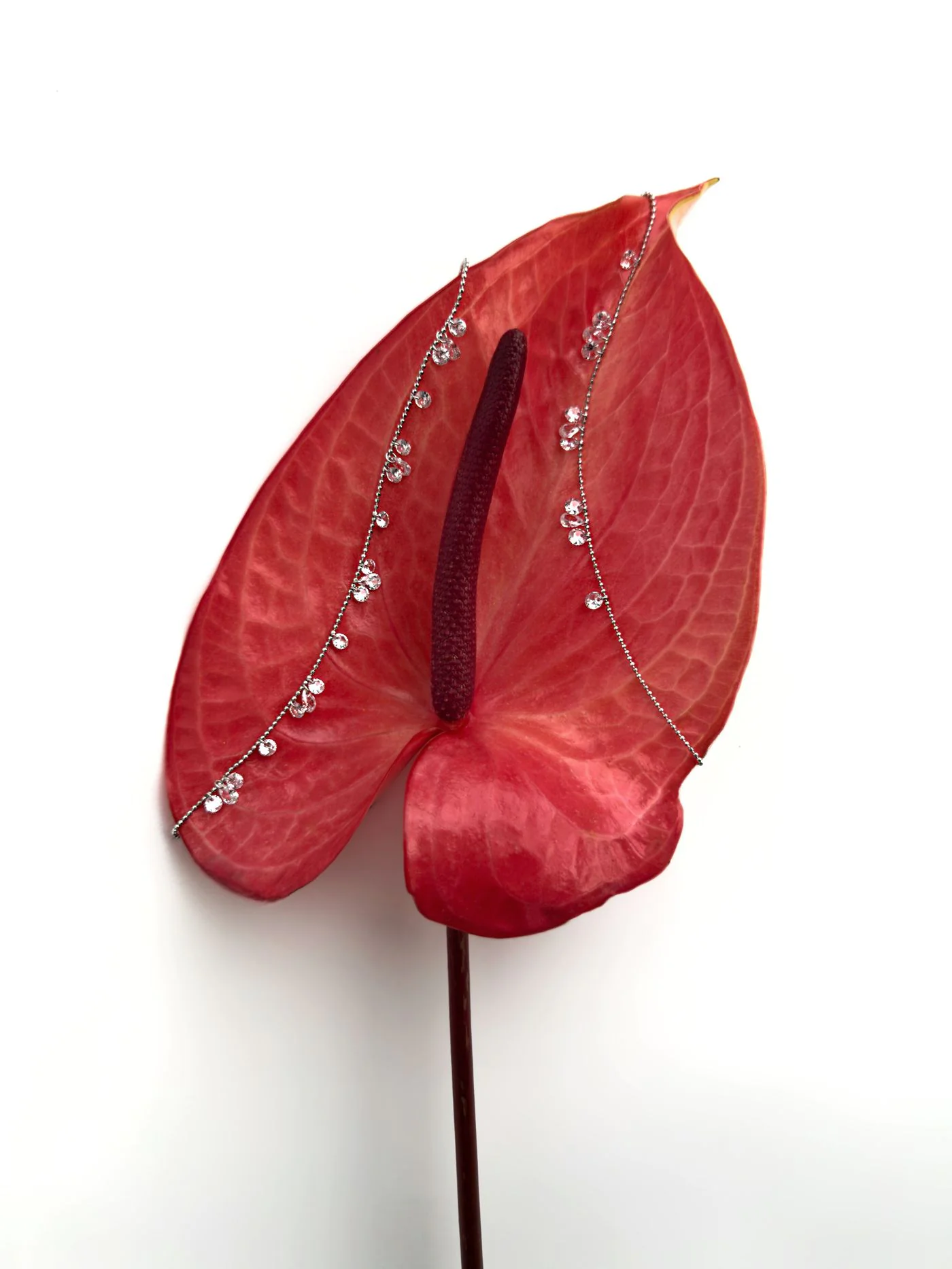 Набір «Блиск фіанітів» – обкладинка - купуйте на Chuttyevo!