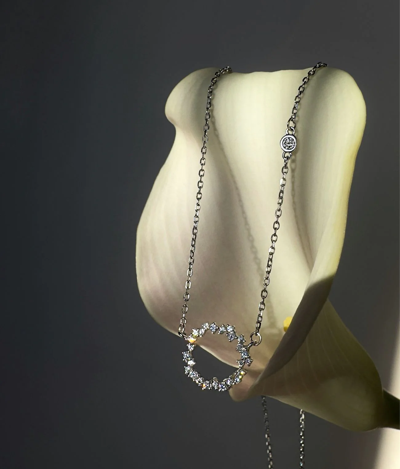 Ланцюжок "Блискуче коло" – обкладинка - купуйте на Chuttyevo!