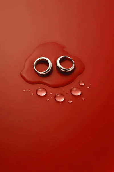 Сережки-кільця "Basic" – обкладинка - купуйте на Chuttyevo!