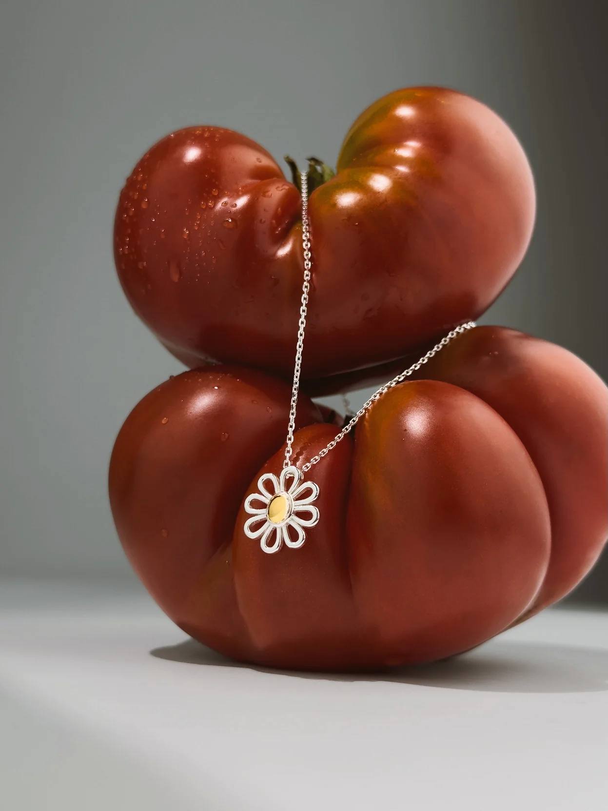 Ланцюжок "Daisy" – обкладинка - купуйте на Chuttyevo!